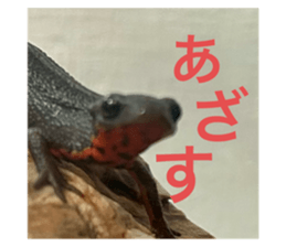 717842891