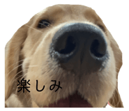 717999930