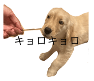 717999938