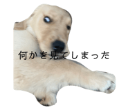 717999944