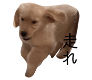 717999947