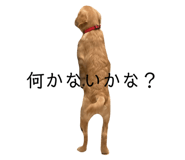 717999948