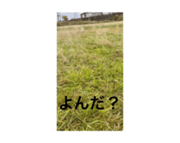 718024955