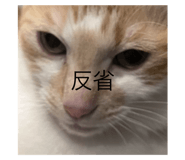 718039981