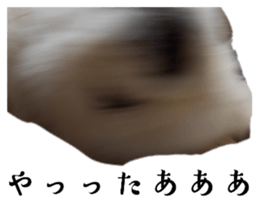 718185077