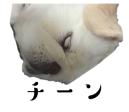 718185079