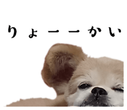 718185080