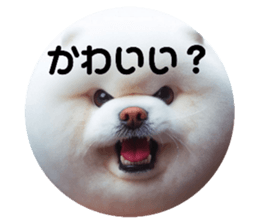718240945