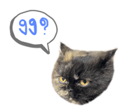 718344891