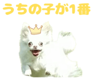 718384928