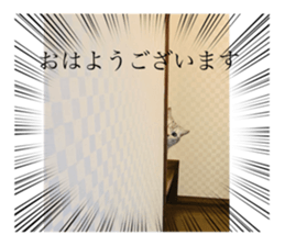 718385435