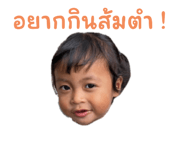 718386637