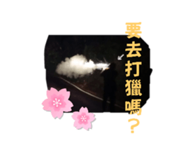 718398900