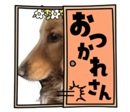 718432554