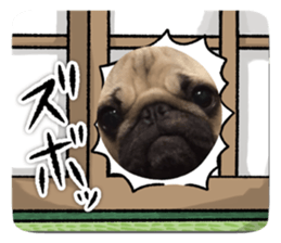 718455915