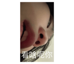 718456433