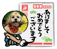 718493639
