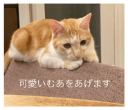 718524005