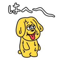 71853008