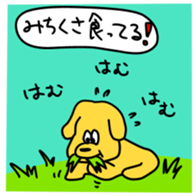 71853018
