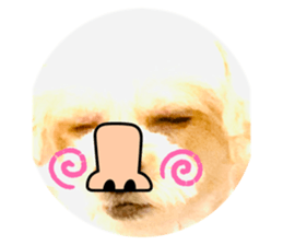 718545446