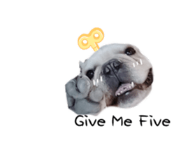 718759544