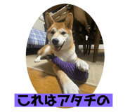 718787638