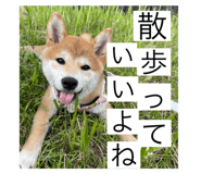 718787640