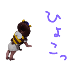 718793405