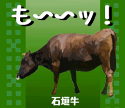 718796009