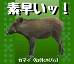 718796011