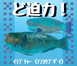718796015