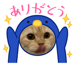 718959882
