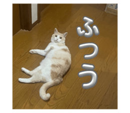 718977835