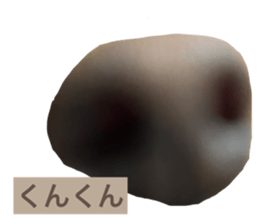 719008662