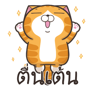 ลายที่ 3