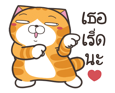 ลายที่ 5