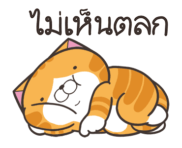 ลายที่ 9