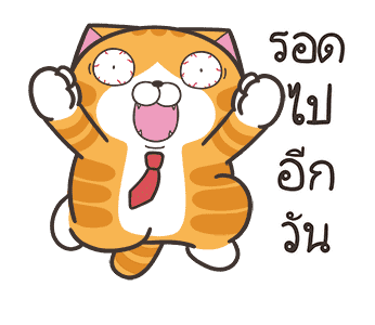 ลายที่ 11