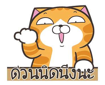 ลายที่ 17