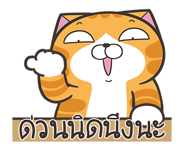 ลายที่ 9