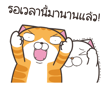 ลายที่ 19