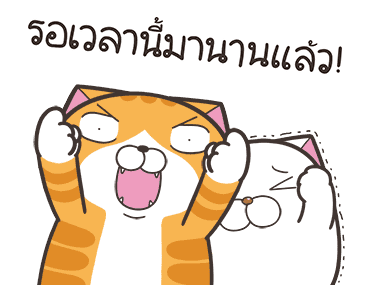 ลายที่ 10