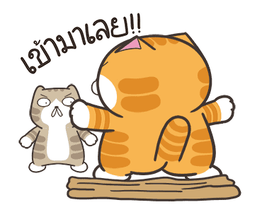 ลายที่ 23