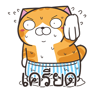 ลายที่ 25