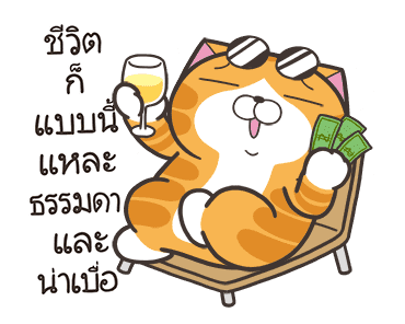 ลายที่ 27