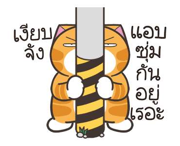 ลายที่ 15