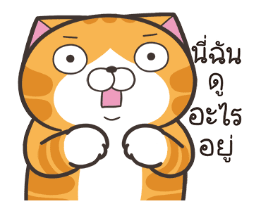 ลายที่ 33