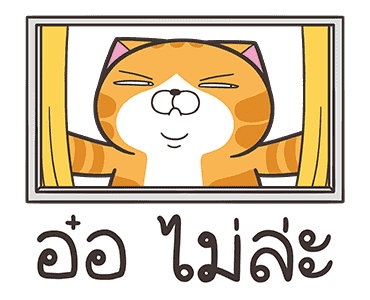 ลายที่ 35