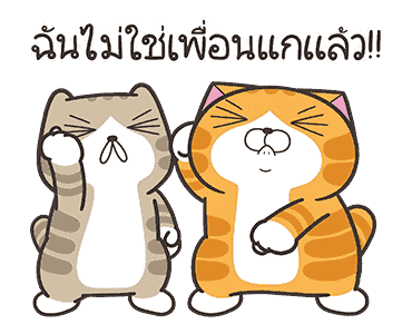 ลายที่ 20